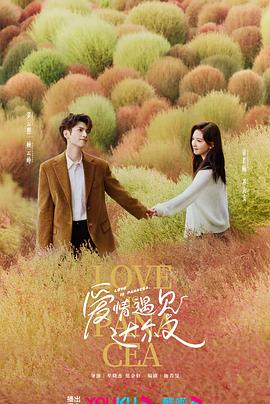 创新seo优化产品介绍